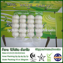 2014 New Normal White Garlic/Pure White Garlic/Fresh White Garlic